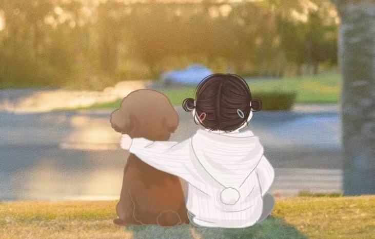 珍心网